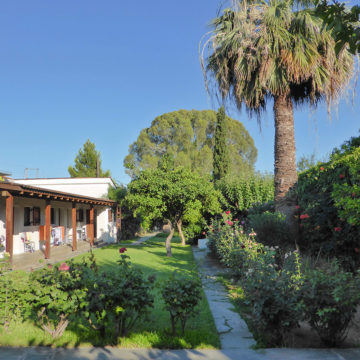 Garden and stoa