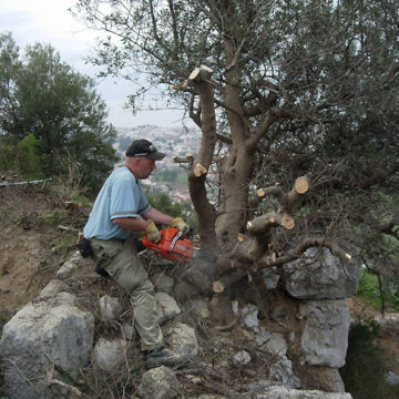 Acropolis cleaning 2008