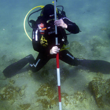 Underwater survey