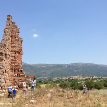 Mazi tower
