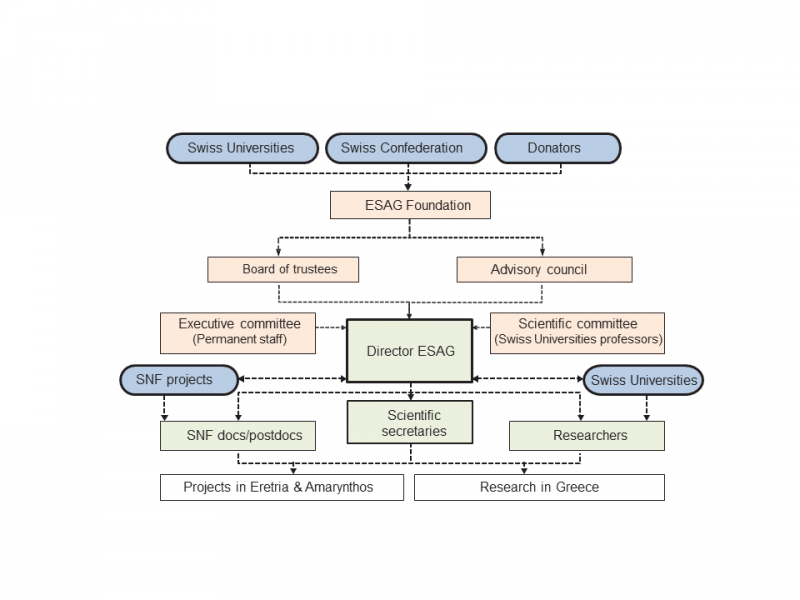 Organisation of ESAG