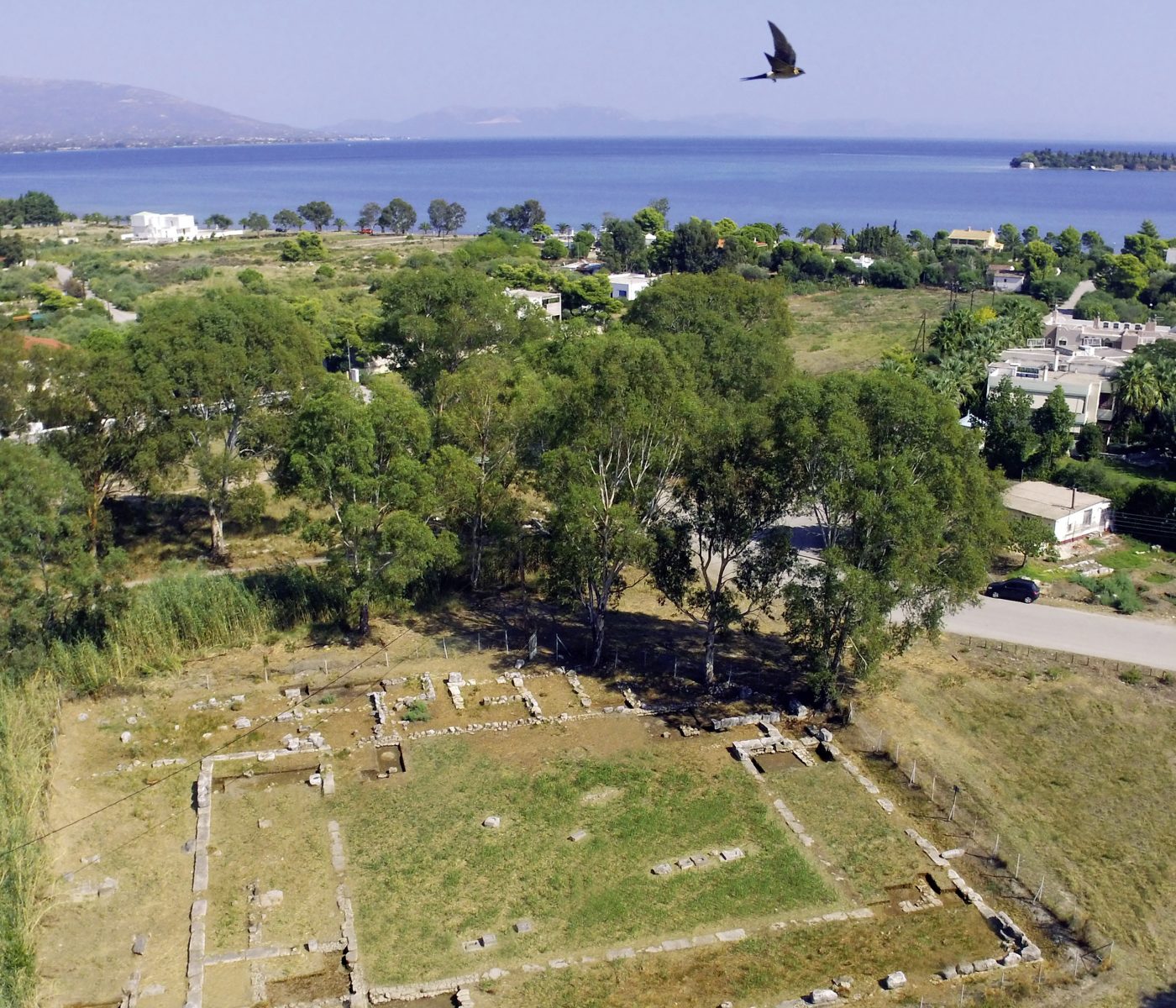 Eretria Palaestra