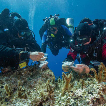 Schiffswrack von Antikythera