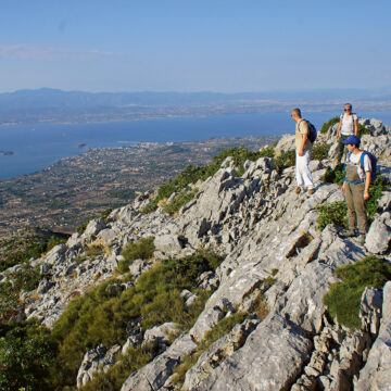 Prospections entre Érétrie et Amarynthos