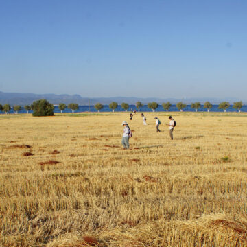 Field survey in Amarynthos