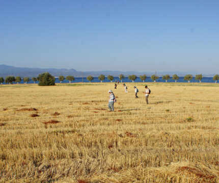 Field survey in Amarynthos