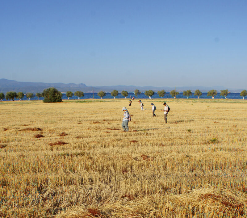 Field survey in Amarynthos