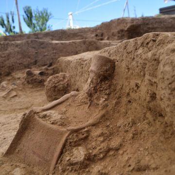 2022 excavation in the temple of Artemis at Amarynthos