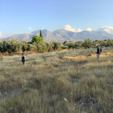 Amarynthos survey