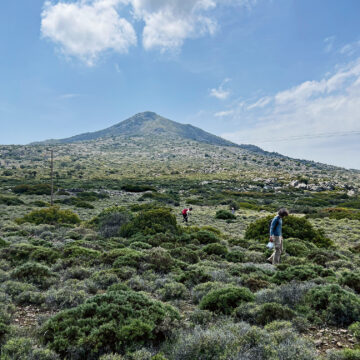 Aegina 2023