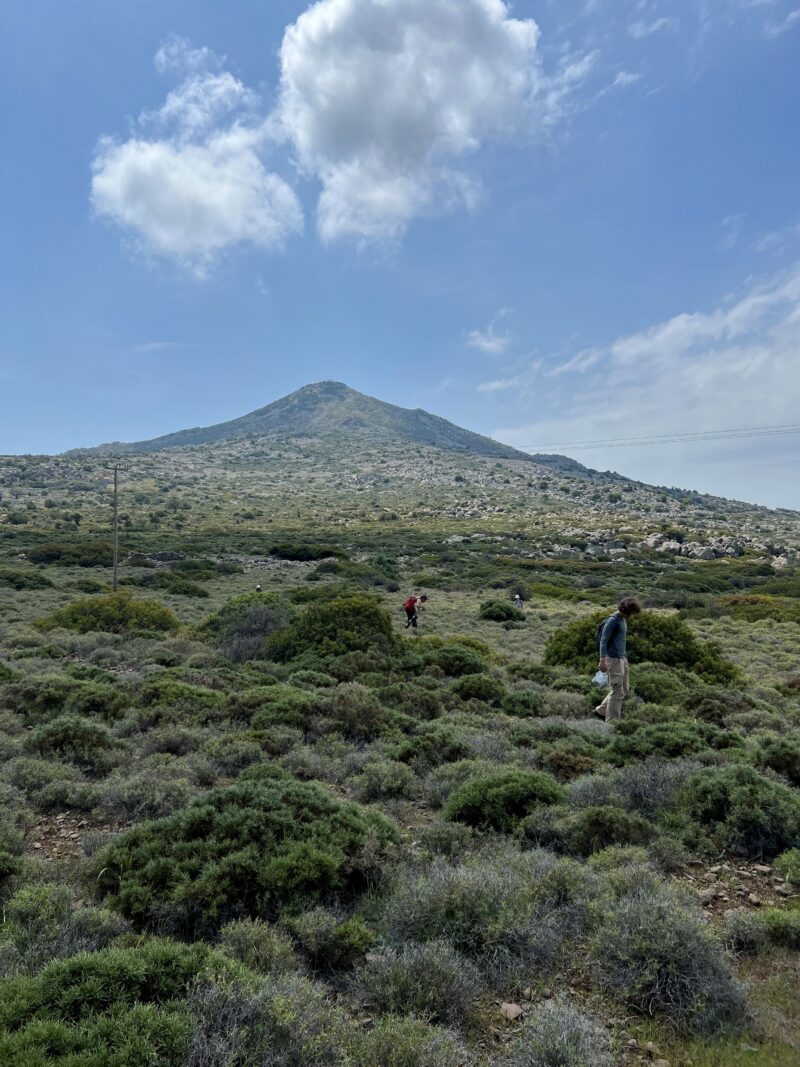 Survey of the Mount Hellanion slopes