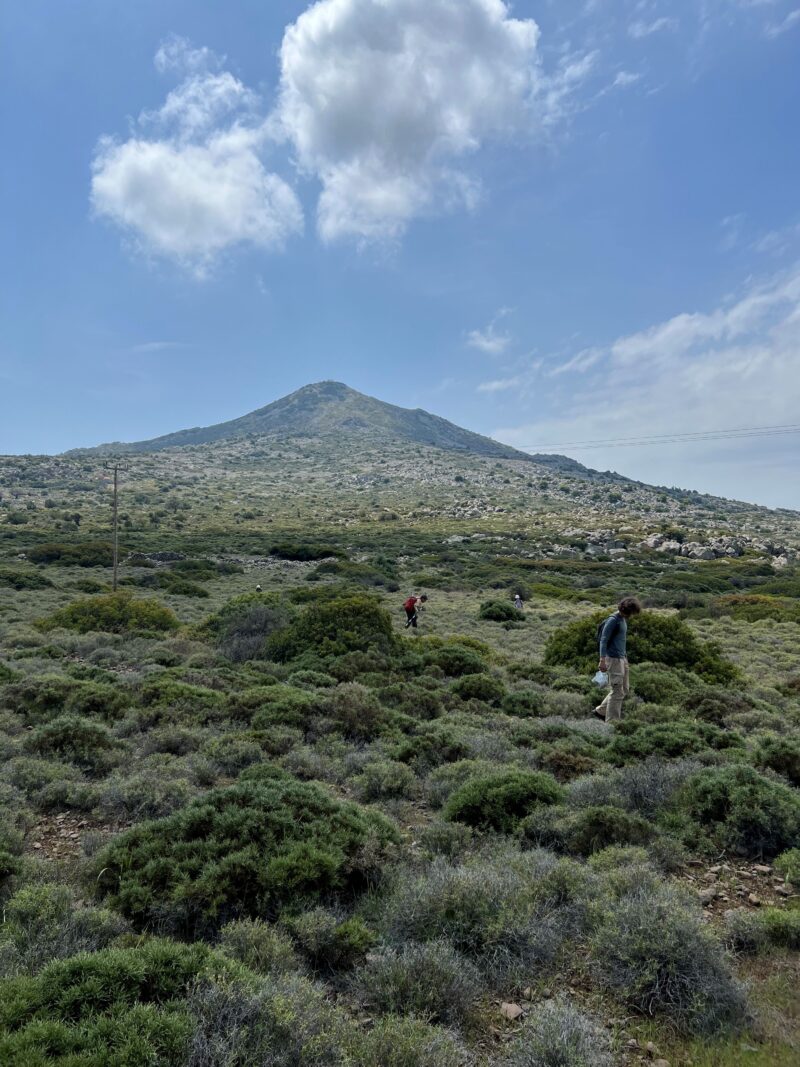 Επιφανειακή έρευνα στις παρυφές του Ελλανίου Όρους