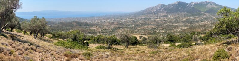 A vast coastal plain bordered by mountains