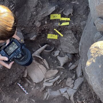 Documentation of Mycenaean vases.